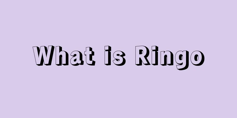 What is Ringo