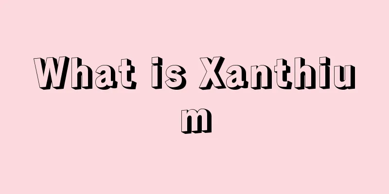 What is Xanthium