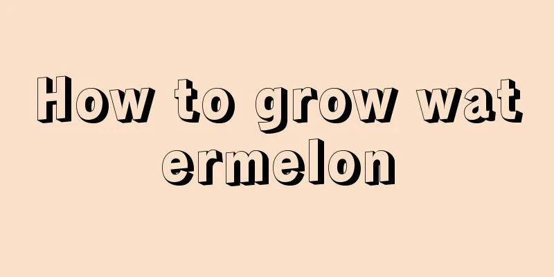 How to grow watermelon