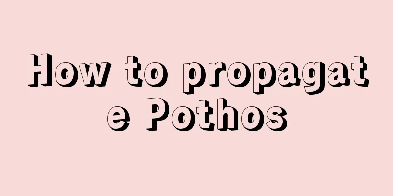 How to propagate Pothos