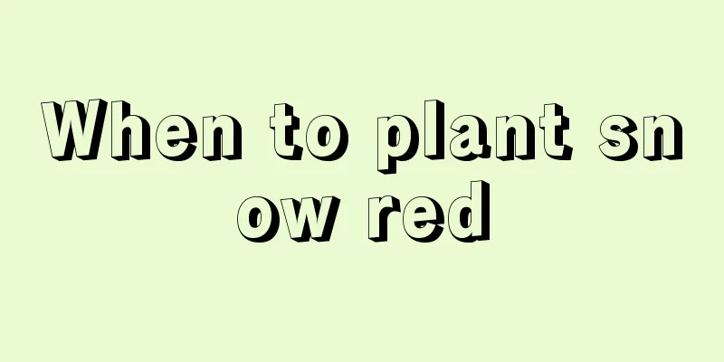 When to plant snow red