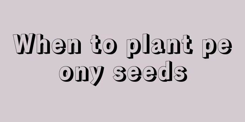 When to plant peony seeds