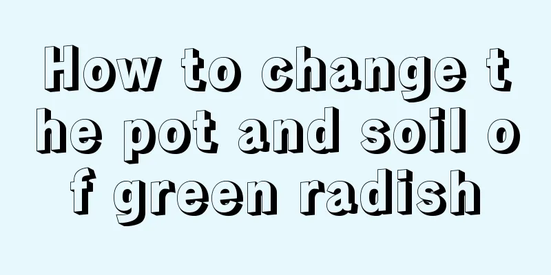 How to change the pot and soil of green radish