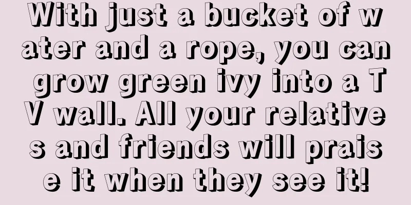 With just a bucket of water and a rope, you can grow green ivy into a TV wall. All your relatives and friends will praise it when they see it!