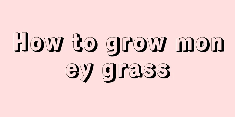 How to grow money grass