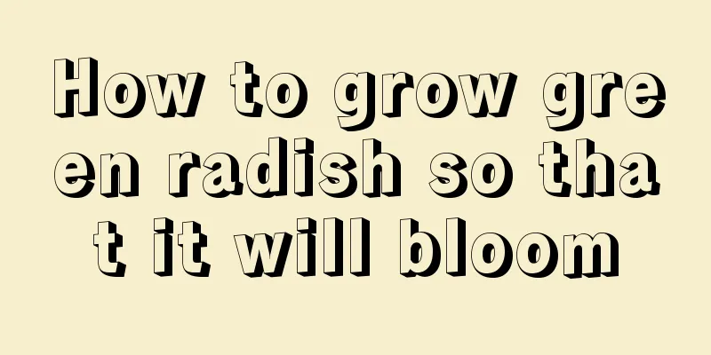 How to grow green radish so that it will bloom