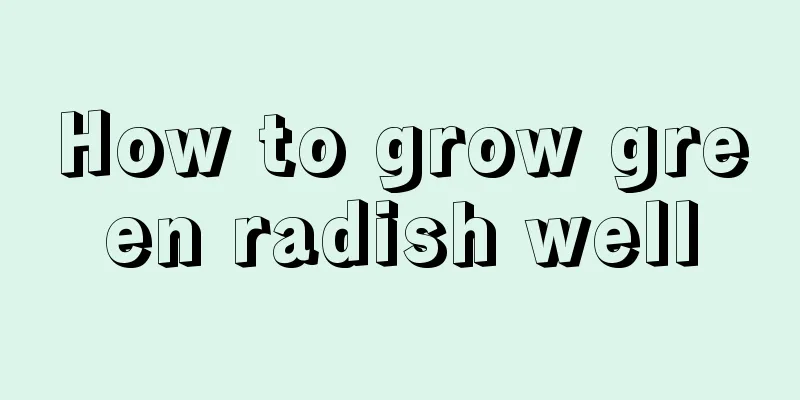 How to grow green radish well