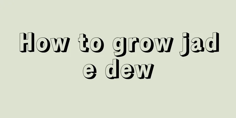 How to grow jade dew