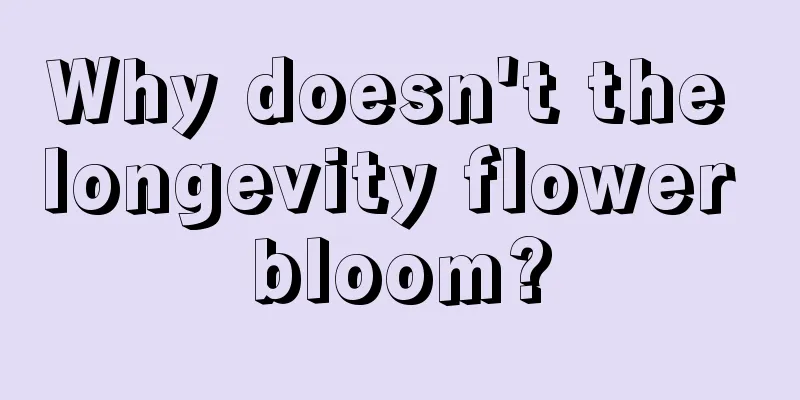 Why doesn't the longevity flower bloom?