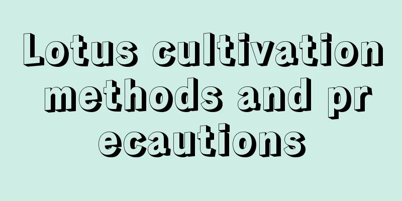 Lotus cultivation methods and precautions