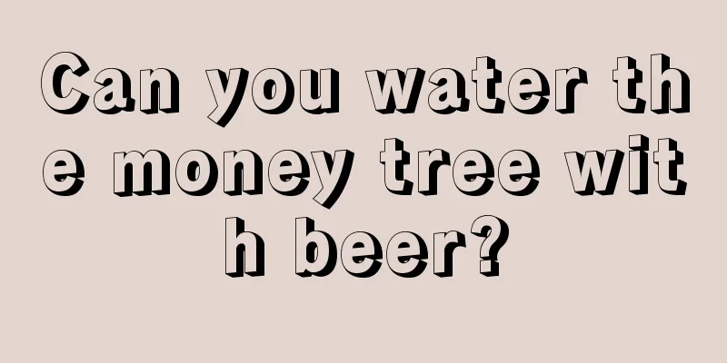 Can you water the money tree with beer?