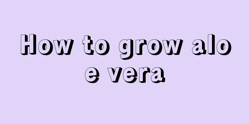 How to grow aloe vera