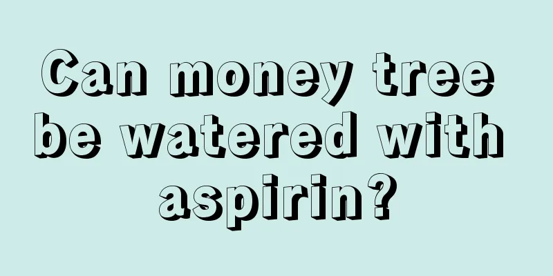 Can money tree be watered with aspirin?