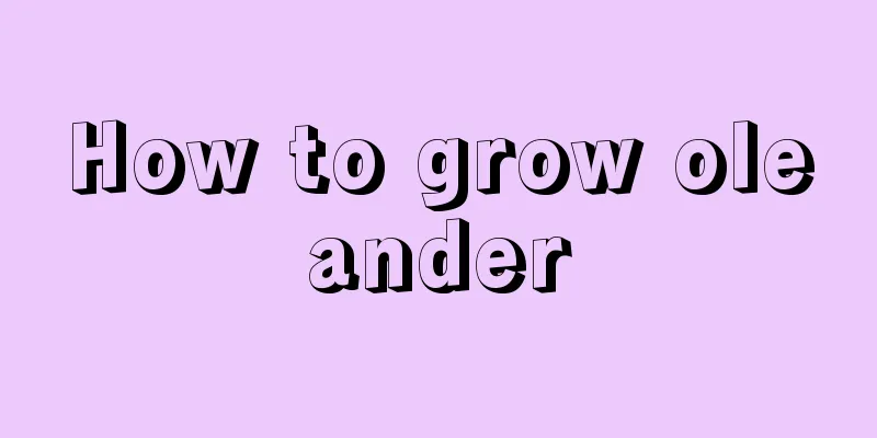 How to grow oleander