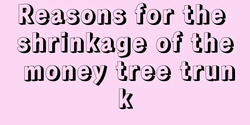 Reasons for the shrinkage of the money tree trunk