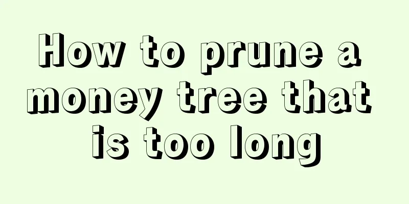 How to prune a money tree that is too long