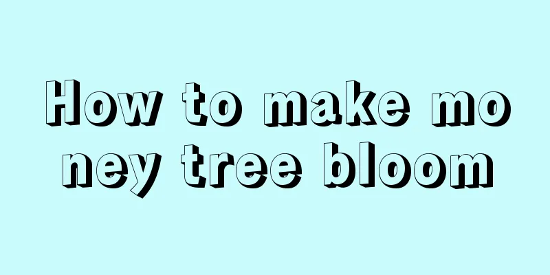 How to make money tree bloom