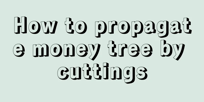 How to propagate money tree by cuttings