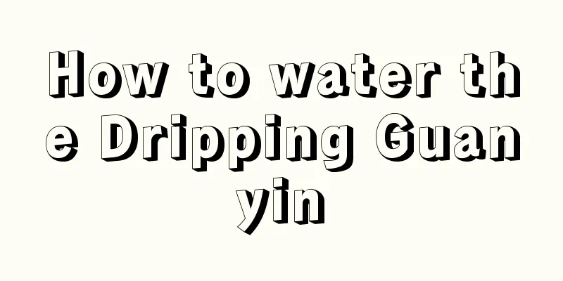 How to water the Dripping Guanyin