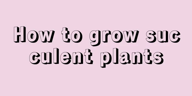 How to grow succulent plants