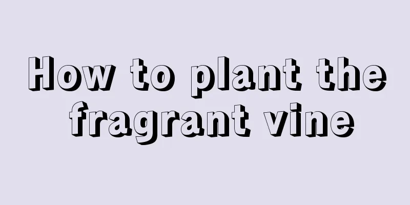 How to plant the fragrant vine