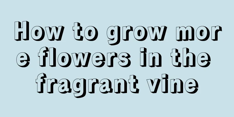 How to grow more flowers in the fragrant vine