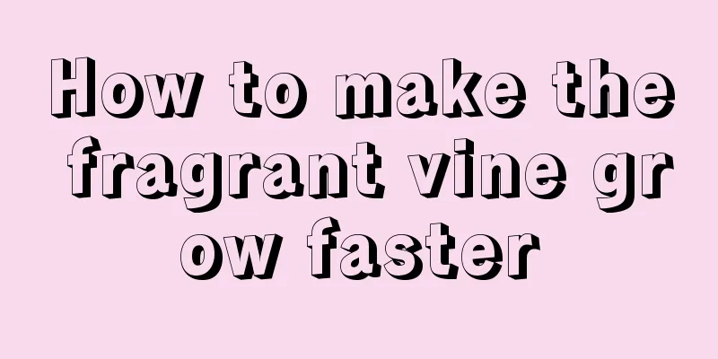 How to make the fragrant vine grow faster