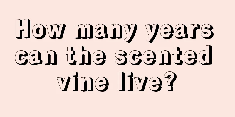 How many years can the scented vine live?