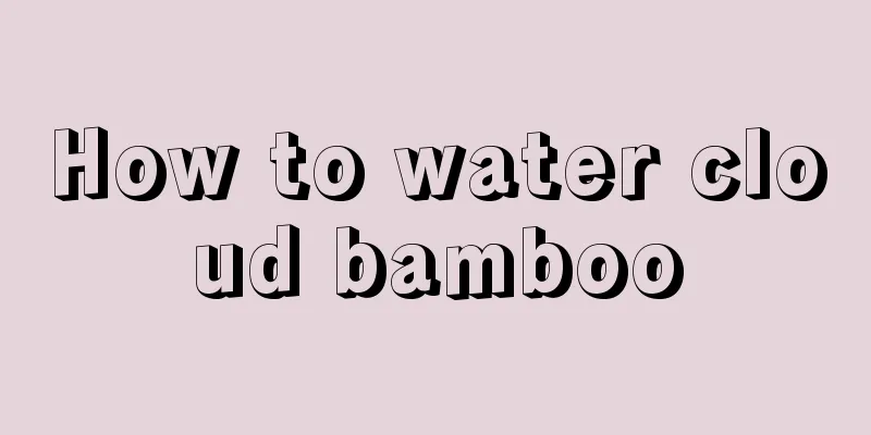 How to water cloud bamboo