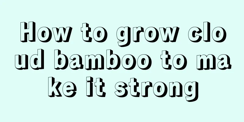 How to grow cloud bamboo to make it strong