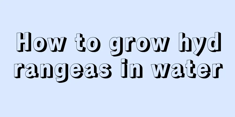 How to grow hydrangeas in water