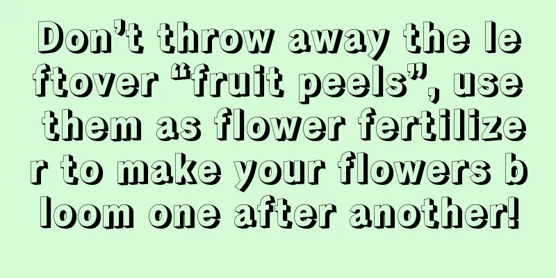 Don’t throw away the leftover “fruit peels”, use them as flower fertilizer to make your flowers bloom one after another!