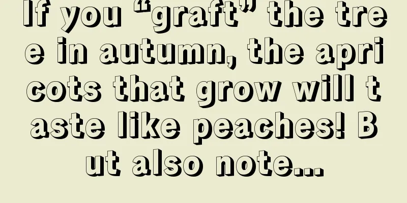 If you “graft” the tree in autumn, the apricots that grow will taste like peaches! But also note...