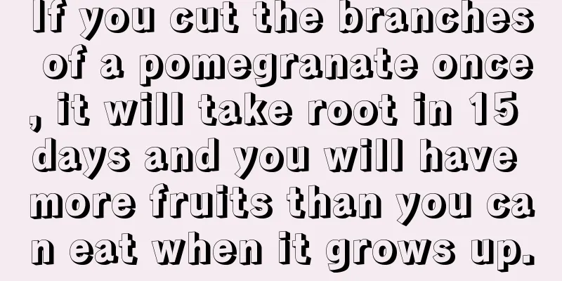 If you cut the branches of a pomegranate once, it will take root in 15 days and you will have more fruits than you can eat when it grows up.