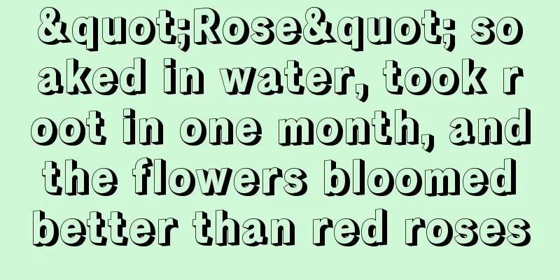 "Rose" soaked in water, took root in one month, and the flowers bloomed better than red roses