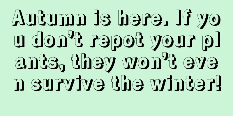 Autumn is here. If you don’t repot your plants, they won’t even survive the winter!