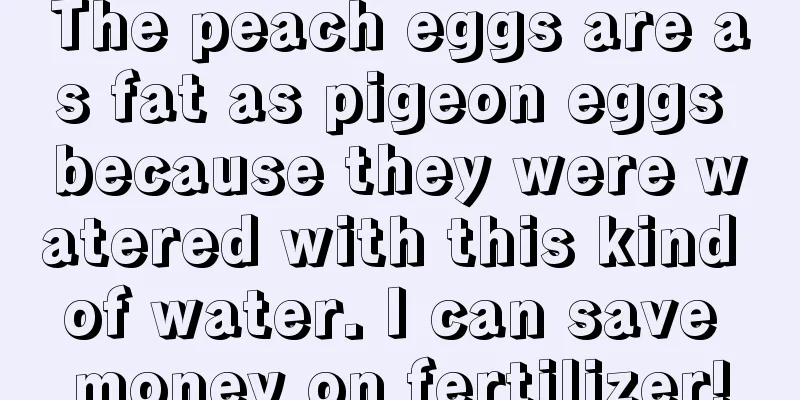 The peach eggs are as fat as pigeon eggs because they were watered with this kind of water. I can save money on fertilizer!