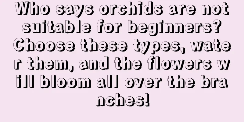 Who says orchids are not suitable for beginners? Choose these types, water them, and the flowers will bloom all over the branches!