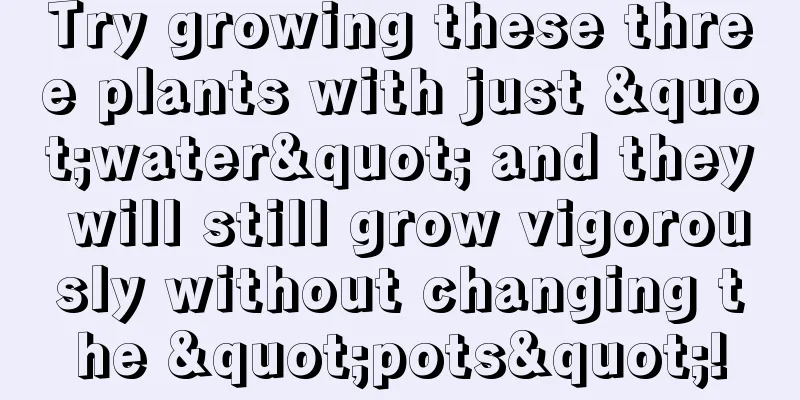 Try growing these three plants with just "water" and they will still grow vigorously without changing the "pots"!