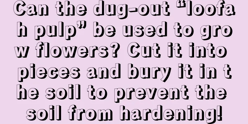 Can the dug-out “loofah pulp” be used to grow flowers? Cut it into pieces and bury it in the soil to prevent the soil from hardening!