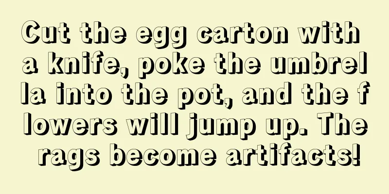 Cut the egg carton with a knife, poke the umbrella into the pot, and the flowers will jump up. The rags become artifacts!