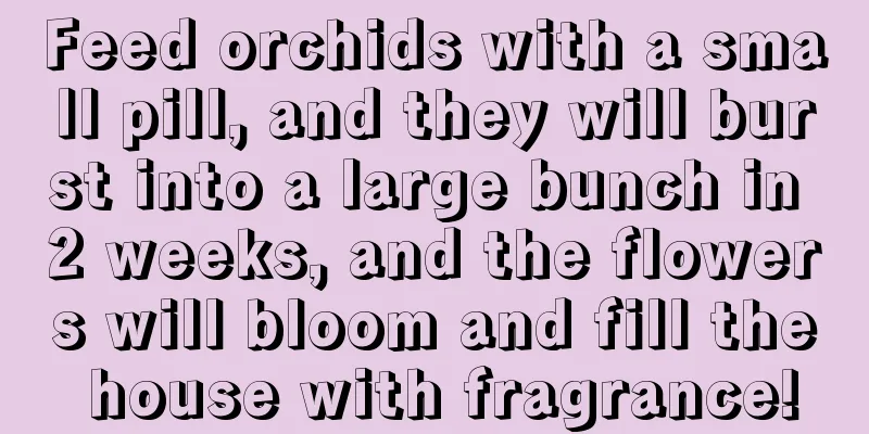 Feed orchids with a small pill, and they will burst into a large bunch in 2 weeks, and the flowers will bloom and fill the house with fragrance!