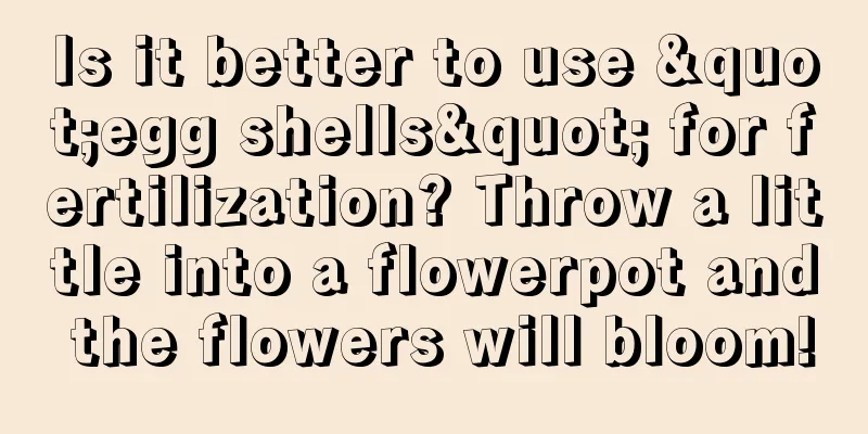 Is it better to use "egg shells" for fertilization? Throw a little into a flowerpot and the flowers will bloom!