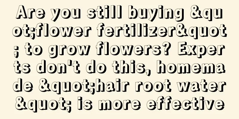 Are you still buying "flower fertilizer" to grow flowers? Experts don't do this, homemade "hair root water" is more effective