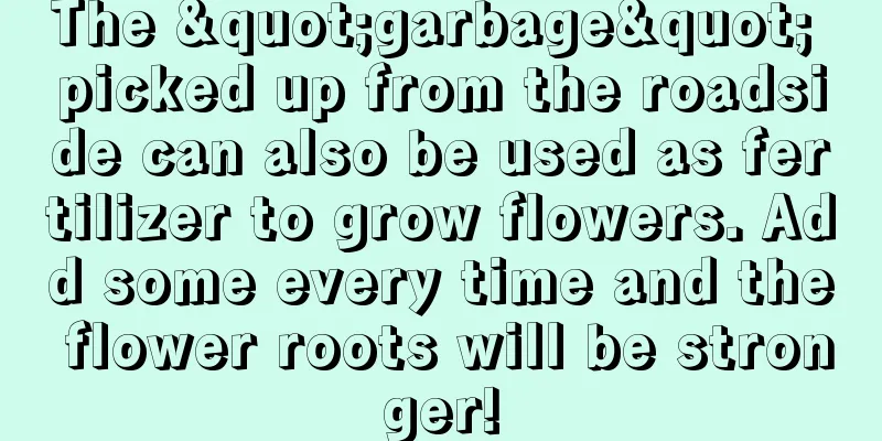 The "garbage" picked up from the roadside can also be used as fertilizer to grow flowers. Add some every time and the flower roots will be stronger!