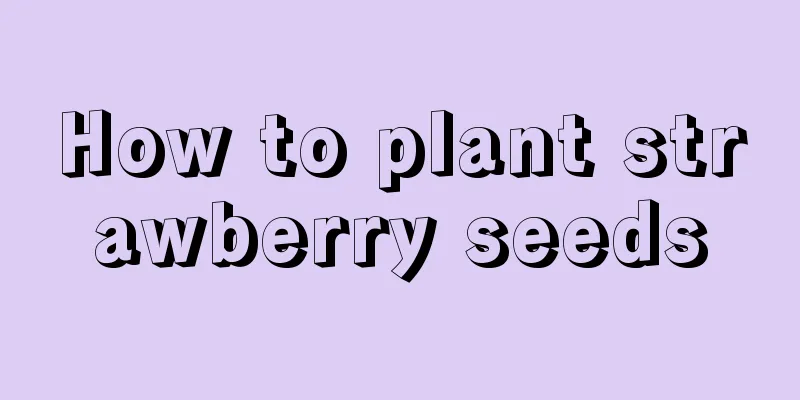 How to plant strawberry seeds