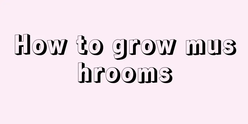 How to grow mushrooms