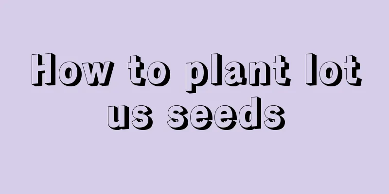 How to plant lotus seeds