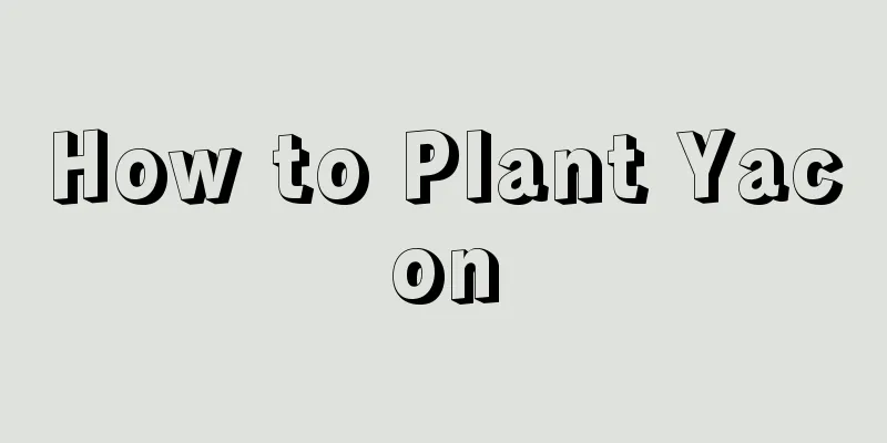 How to Plant Yacon