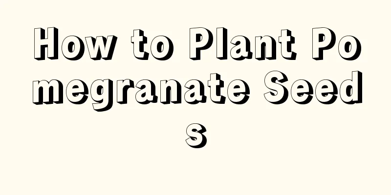 How to Plant Pomegranate Seeds